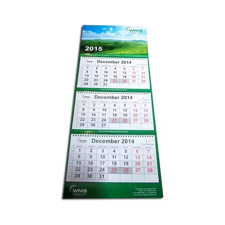 New Design 3 Months Wall Calendar