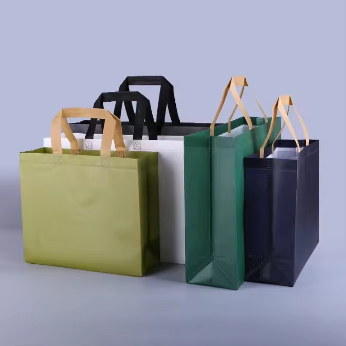 Promotional Colorful PP Non Woven Bag Reusable Carry Shopping Tote Bag