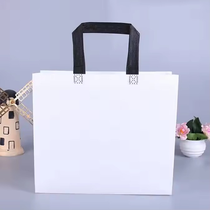 Promotional Colorful PP Non Woven Bag Reusable Carry Shopping Tote Bag