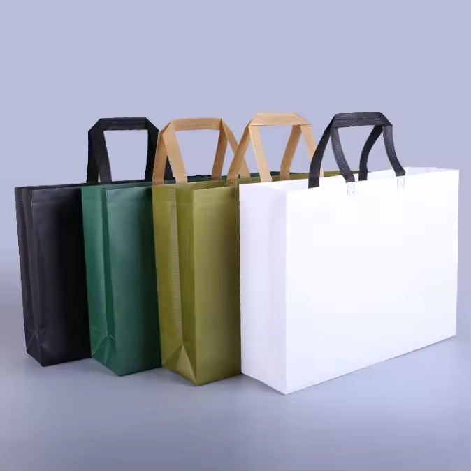 Promotional Colorful PP Non Woven Bag Reusable Carry Shopping Tote Bag