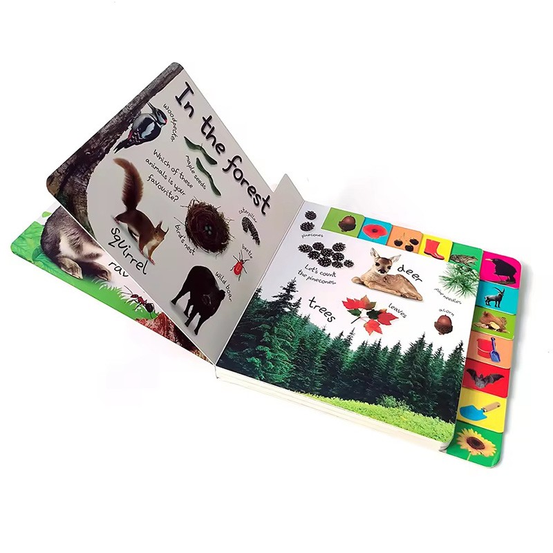 Children's Book Printing Baby Toys Nature Fun Early Learning Books Board Book Set For Kids